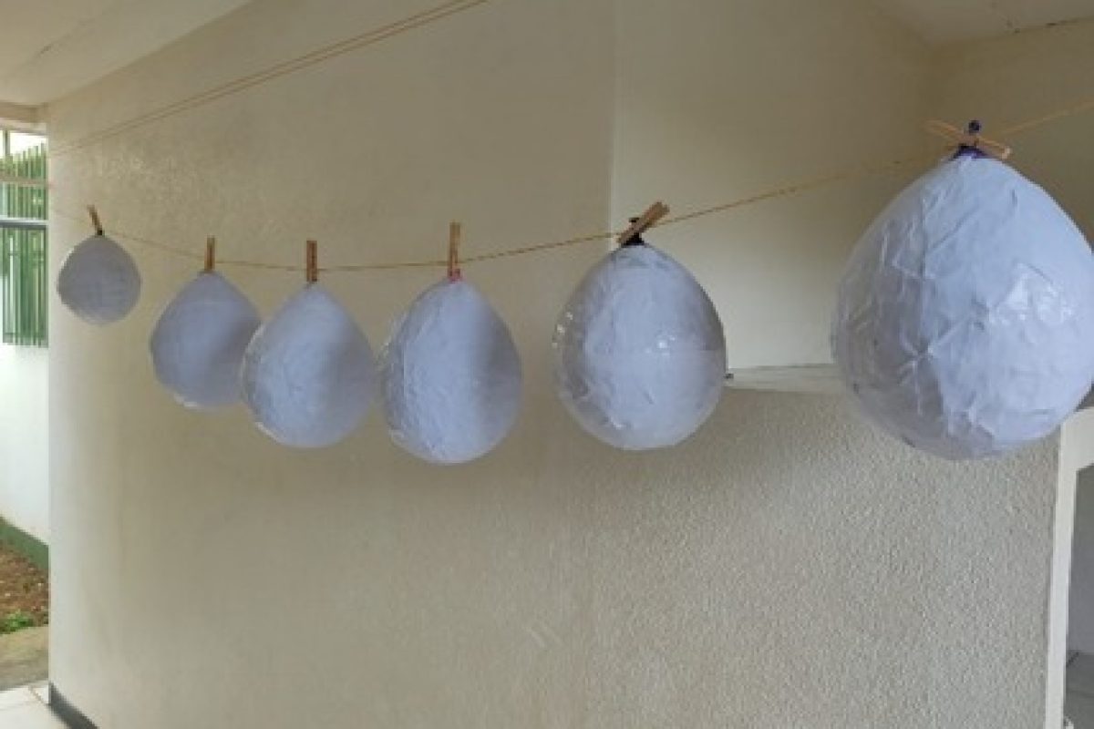 WhatsApp Image 2025-04-09 at 2.31.51 PM (1)